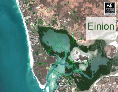 Einion migration map, Somone Lagoon Reserve. Dyfi Osprey Project.