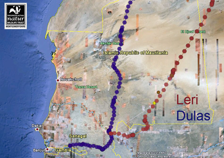 Leri and Dulas, migration routes, 28/9/11, Dyfi Osprey Project