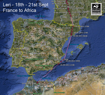 Leri, migration tracking, Sept 18-21. Dyfi Osprey Project.