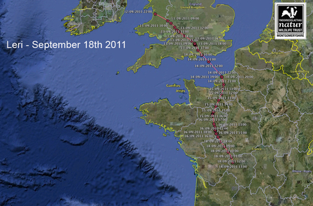 Leri, migration data, September 18, 2011. Dyfi Osprey Project.