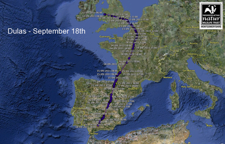Dulas, migration route Sept 18. Dyfi Osprey Project.