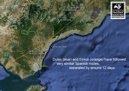 Migration routes for Dulas and Einion, Spain 2011. Dyfi Osprey Project.