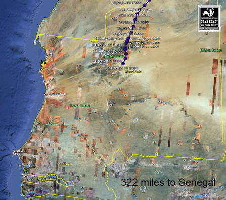 Dulas migration data over Sahara Desert. Dyfi Osprey Project.
