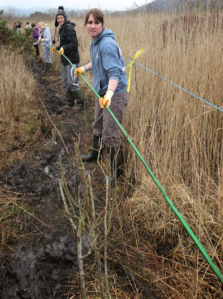 The Big Pull, volunteers pull fibre-optic cable across Cors Dyfi Reserve. 