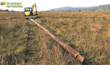The Big Pull, telegraph pole for osprey nest, Dyfi Osprey Project