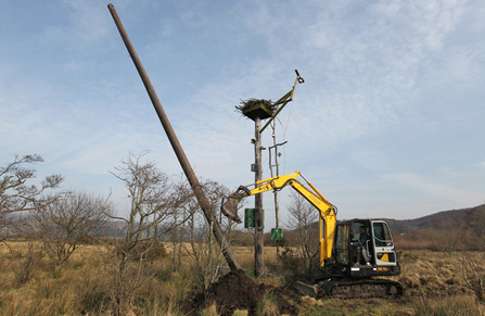 Dyfi Osprey Project installs new perch pole, 2012.
