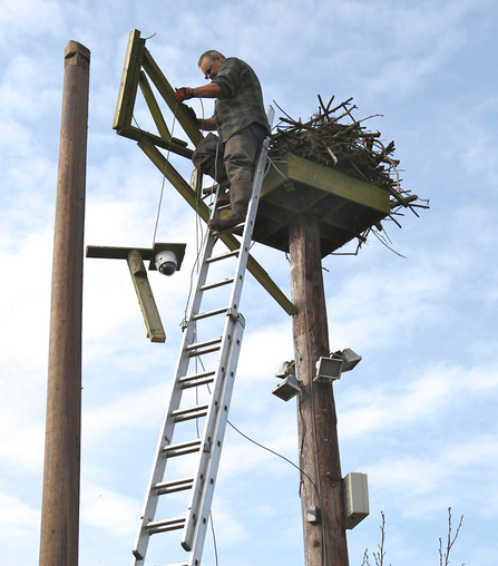 Dyfi Osprey Project installs new perch at osprey nest, 2012