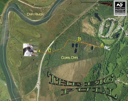 The Big Pull - map. Dyfi Osprey Project.