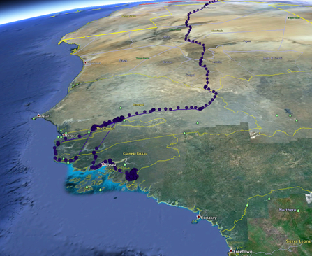 © MWT - Dulas - migration route over Africa. Dyfi Osprey Project.