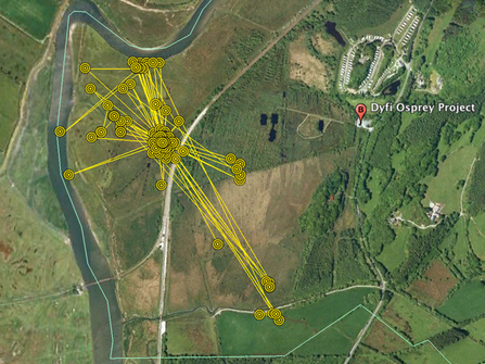 © MWT - Ceulan's tracker data over Cors Dyfi. Dyfi Osprey Project.