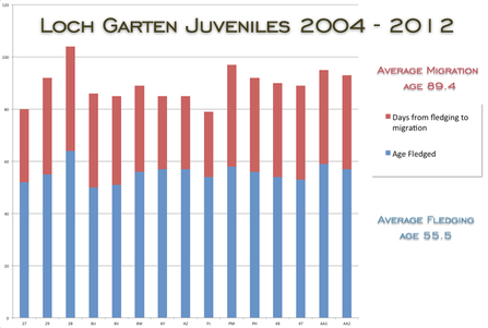 Loch Garten Juveniles Fledging and Migration Ages, 2004-2012