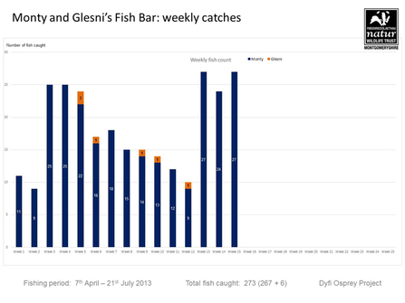 MWT - Monty and Glesni's Fish Bar: Weekly Catches (7 Apr-21 Jul, 2013). Dyfi Osprey Project.
