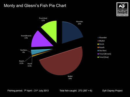 MWT - Monty and Glesni's Fish Pie Chart, 7 Apr - 21 Jul, 2013. Dyfi Osprey Project.