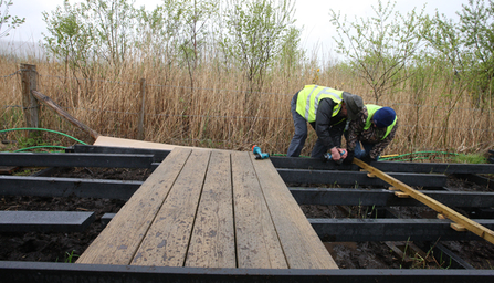 MWT - First planks of boardwalk put in place