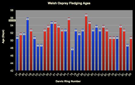 MWT - Welsh osprey chicks fledging ages through 2014