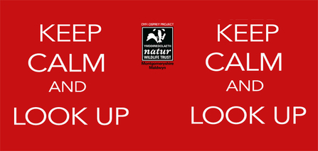 MWT - Keep Calm and Look Up