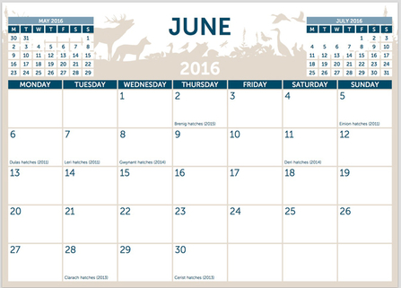 MWT - 2016 calendar month
