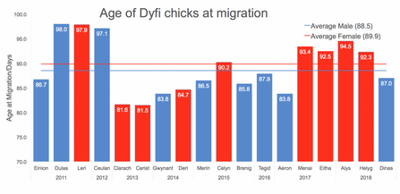 MWT - Age of Dyfi chicks at migration, 2011-2018