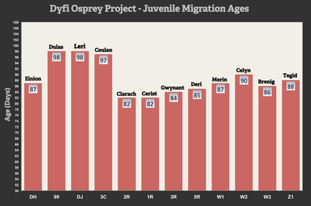 MWT - DOP Juvenile Migration Ages chart, 2011-2016