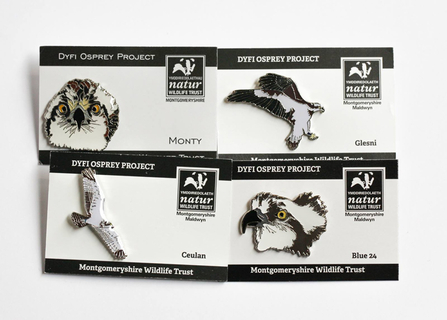 MWT - Dyfi Osprey Project pin badges