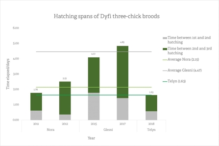 MWT - Hatching spans of Dyfi three-chick broods 2011-2018