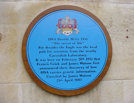Eagle Pub plaque, Cambridge, discovery of DNA