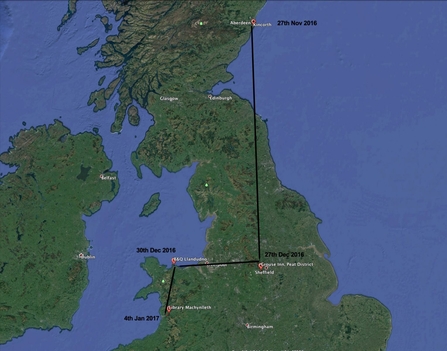 Updated map of ringed Scottish waxwing sighting