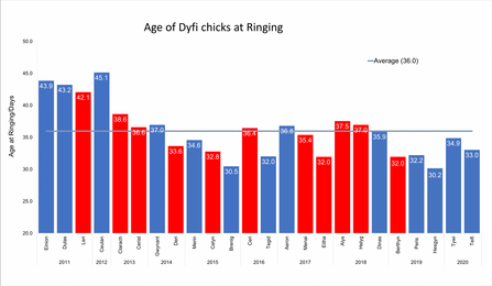 Age of Dyfi Chicks at Ringing 2011-2020