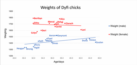 Weights of Dyfi Chicks 2011-2020