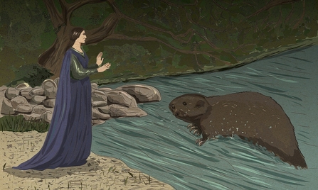 Beavers, mythology, Wales - woman luring afanc to shore of River Conwy