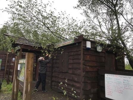MWT - Trees downed over DOP visitor centre during Storm Hannah