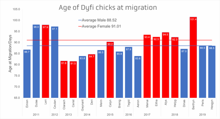 Age of Dyfi Chicks at Migration 2011 - 2019