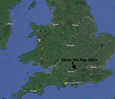 Map showing location of Dinas May 5th 2020