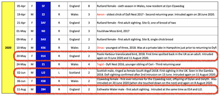 Intruding ospreys through August 11th 2020