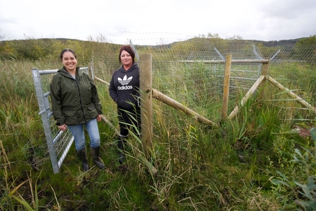 Inspecting the new beaver enclosure at Cors Dyfi in 2020