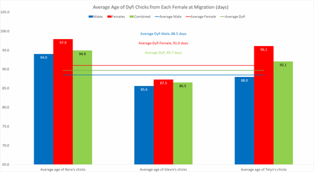 Average Age of Dyfi Chicks from Each Female at Migration 2011-2019