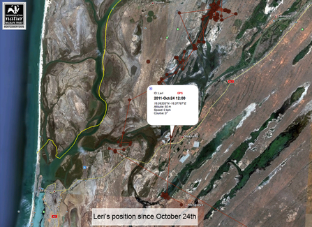 Google map of Leri's tracker position October 24th 2011