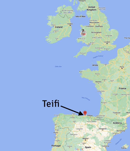 Map showing Teifi's location on return migration, Spain (May 2022)