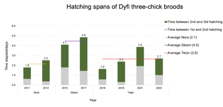 Hatching spans of Dyfi three-chick broods