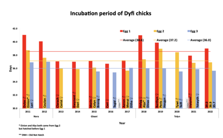 Incubation period of Dyfi chicks, 2011-2022