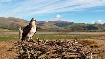 Telyn Returns: A panoramic snapshot from one of the seven cameras we use for Live Streaming 