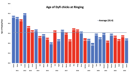 Ringing ages of all Dyfi chicks