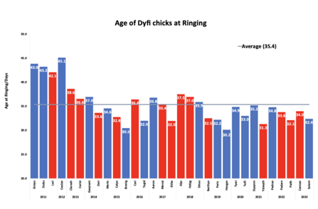 Age of Dyfi chicks at Ringing