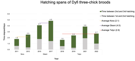 Hatching spans of Dyfi three-chick broods