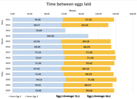 Egg 2 and 3 production times