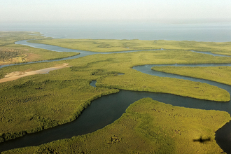 Sine-Saloum Delta, Senegal