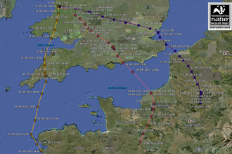 Dyfi Ospreys, migration routes