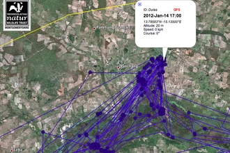 Migration tracking data for Dulas, Dyfi Osprey Project, 14/12/12