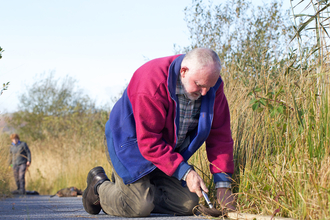 Volunteer mends the boardwalk at Cors Dyfi Reserve, Wales