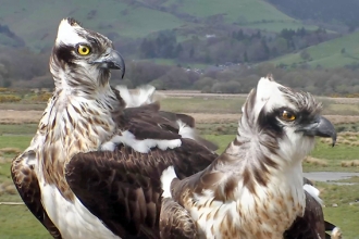 © MWT - Monty and Glesni 2013